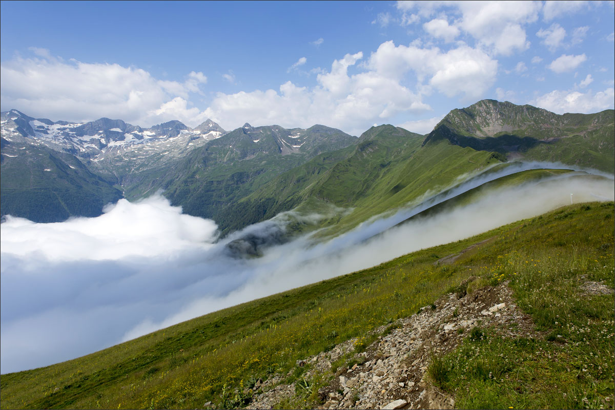 franse pyreneeen