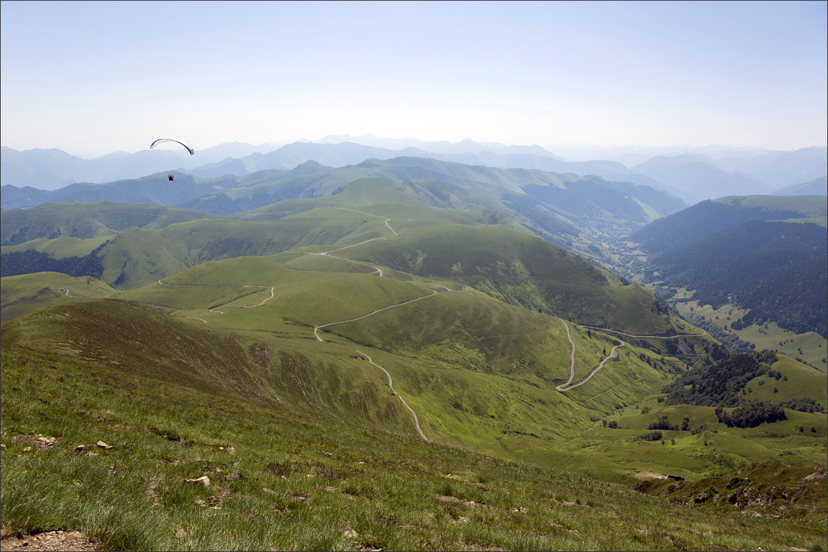 franse pyreneeen